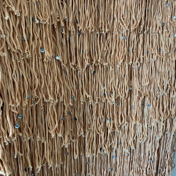 NWT fringe mini dress by NBD - Picture 4 of 6